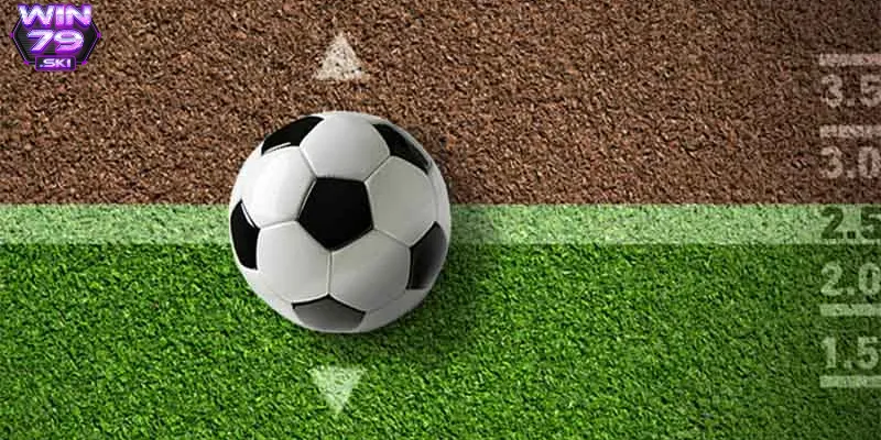 keo chau a 5 Cần nắm vững cách đọc bảng tỷ lệ kèo châu Á