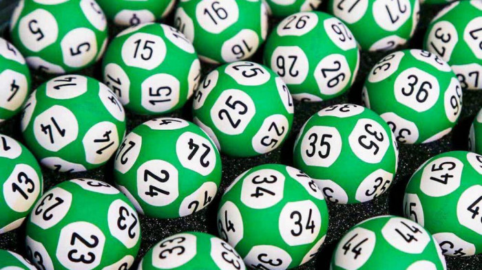 nha cai dan xep truoc ty so